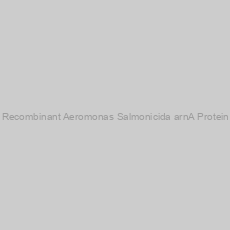 Image of Recombinant Aeromonas Salmonicida arnA Protein